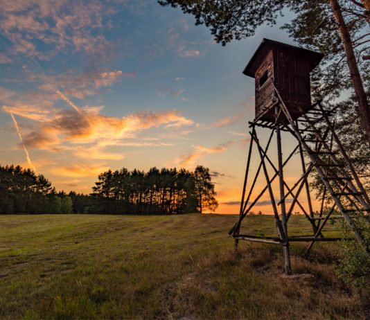 El TSJCyL declara nulo el decreto que regula la conservación de las especies cinegéticas y su aprovechamiento sostenible