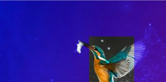 KPMG avanza en sus compromisos ESG KPMG avanza en sus compromisos ESG