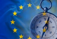 ¿Se ajusta la Propuesta de Directiva de Precios de Transferencia de la Unión Europea a las Directrices de la OCDE en materia de precios? ¿De nuevo otra rat race?