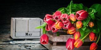 Conoce las novedades editoriales de Thomson Reuters de mayo