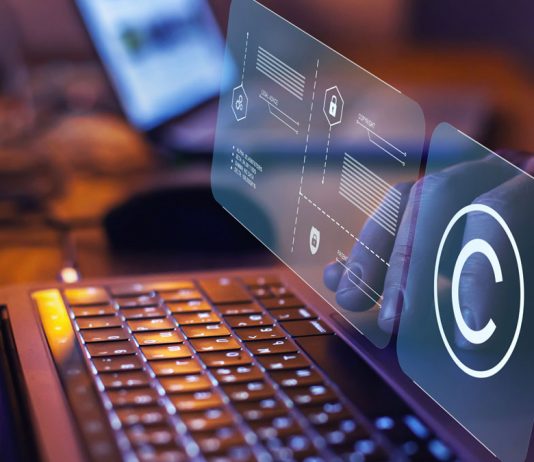 Las diligencias preliminares en la obtención de datos en propiedad intelectual e industrial en el entorno digital
