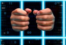 Condena de 7 meses por matar a un ratón