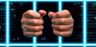 Condena de 7 meses por matar a un ratón