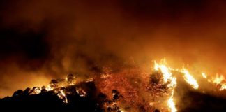 Incendio forestal en el sur de España obliga a la evacuación de la ciudad; tres heridos