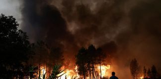Los bomberos luchan por apagar las llamas en Portugal y España, azotados por la ola de calor