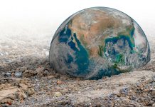 Hacia la tipificación del crimen de Ecocidio