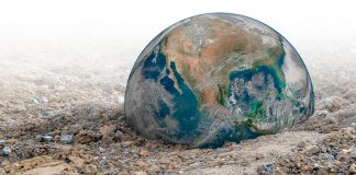 Hacia la tipificación del crimen de Ecocidio