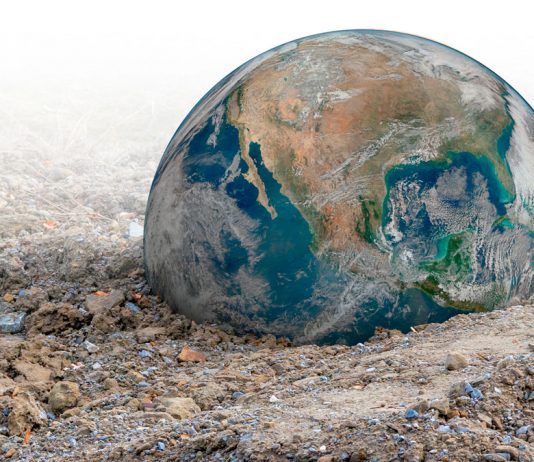 Hacia la tipificación del crimen de Ecocidio