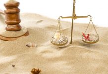 Thomson Reuters Aranzadi presenta las novedades editoriales de agosto y septiembre de 2022