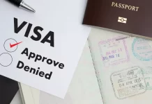 Renovaciones de autorizaciones de trabajo por cuenta autónoma y trabajo