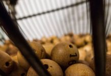 ¿Qué debo saber si juego a la Lotería de Navidad?