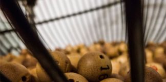 Loterías y últimas apuestas antes del final del año