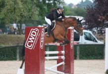 Problemas jurídicos en el ámbito ecuestre