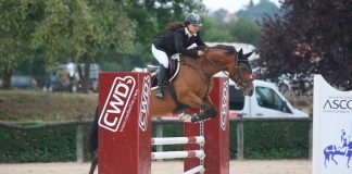 Problemas jurídicos en el ámbito ecuestre