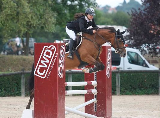 Problemas jurídicos en el ámbito ecuestre