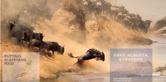 Alberta soberana: una estampida legal en el federalismo canadiense