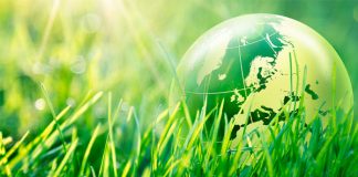 “Clausulas Verdes” en los arrendamientos de edificios para contribuir a los objetivos de sostenibilidad