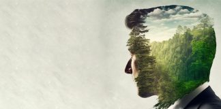 Las principales entidades no incorporan referencias directas a la sostenibilidad en sus test de idoneidad