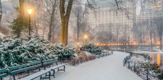¿Quién cubre los daños del temporal de nieve?