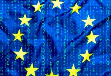 Los recursos administrativo y civil previstos en el Reglamento general de protección de datos pueden ejercerse de forma concurrente e independiente