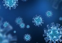 El TEDH dice que las restricciones Covid en hostelería no pueden considerarse «una expropiación ‘de facto'»