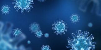 Covid-19 y responsabilidad de la administración