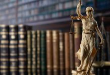 El rostro procesal del ciudadano ante los tribunales: el procurador