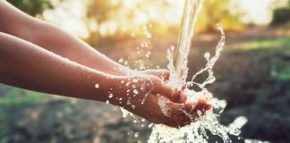 Los Estados miembros están obligados a no autorizar un proyecto que pueda causar deterioro en la calidad de una masa de agua