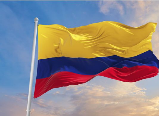 Aborto Legal en Colombia Acierto o Desacierto