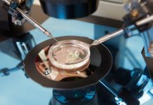 Reclaman un millón de euros al Servicio Andaluz de Salud por un error en una fecundación asistida