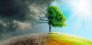 Contra la impunidad ambiental en Europa: un paso más hacia la revisión de la Directiva 2008/99/CE