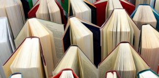 El uso de modelos obligatorios en el procedimiento administrativo: ¿Requerimiento o inadmisión?