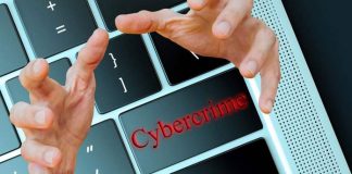 ¿Cómo actuar si has sido víctima de un phishing?