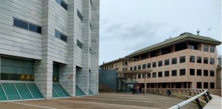 Perdonan una deuda de 1.012.000 euros a un camionero de Lleida que avaló préstamos de una empresa con varios socios