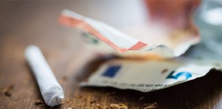 La Audiencia de Cantabria condena a una veintena de personas por tráfico de marihuana