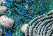 ¿Estás intentando pescar tiburones con una red para sardinas?