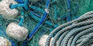 ¿Estás intentando pescar tiburones con una red para sardinas?