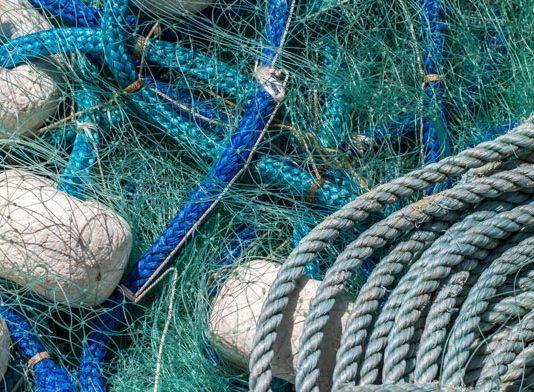 ¿Estás intentando pescar tiburones con una red para sardinas?