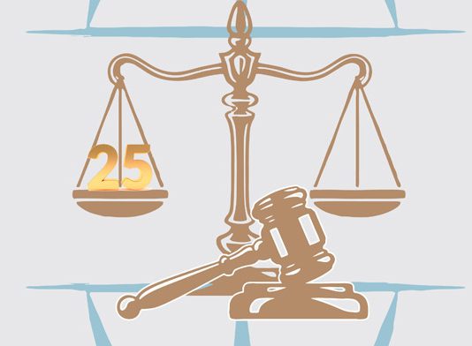 La eficiencia de la Justicia para combatir sus deficiencias