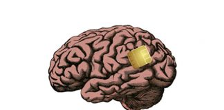 Regulando nuestra dieta cerebral