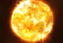 Por fin llegó el verano