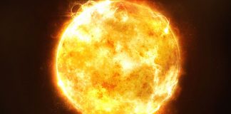 Por fin llegó el verano