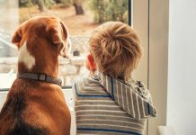 Custodia compartida de menor y mascota en un mismo fallo