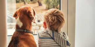 Ley de bienestar animal: estos son los derechos de los animales