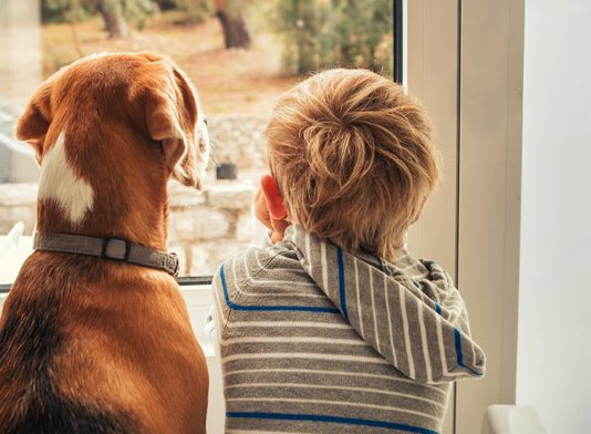 Custodia compartida de menor y mascota en un mismo fallo