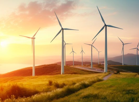 El Gobierno recurre al TC la norma gallega de repotenciación eólica y vincular el grado de discapacidad y dependencia