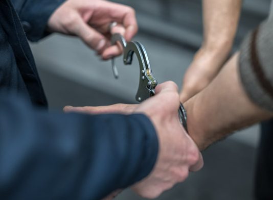 Los imputables peligrosos