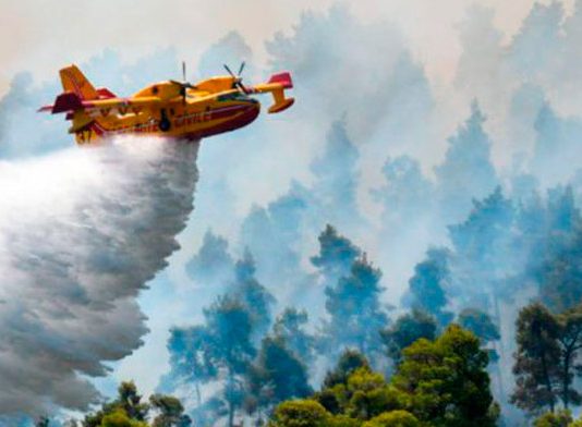 Cómo proceder en caso de verse afectado por un incendio este verano