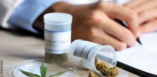 Bancarización y defensa de la competencia en la industria norteamericana del cannabis