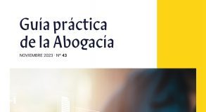 Manual para la preparación de la audiencia previa